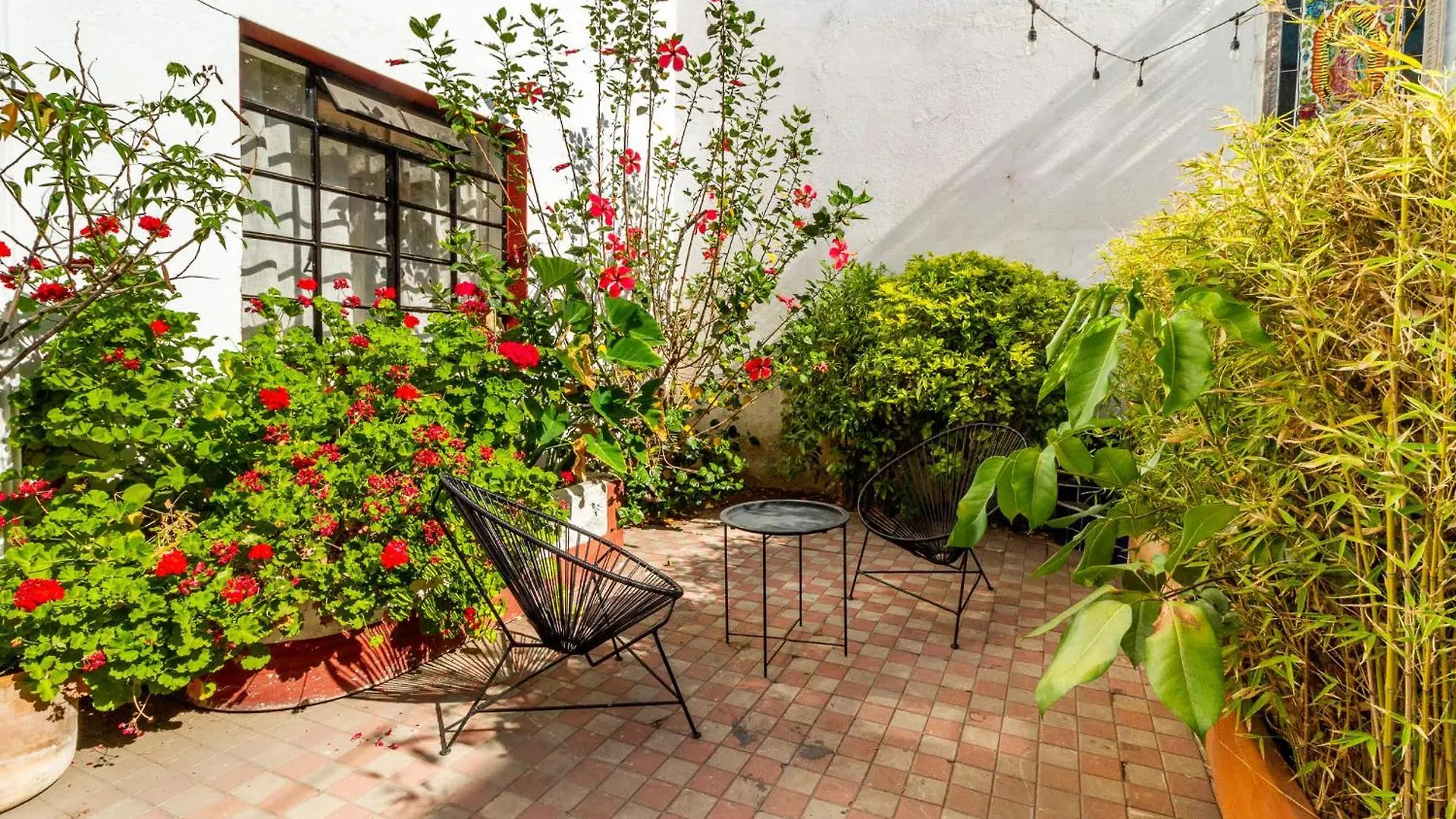 Charming Apartment In Colonia Americana With 1 Bedroom Guadalajara 0*,  Mexiko